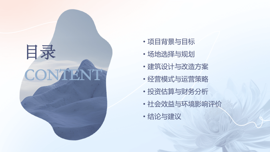 蜗居陈寺福可行性方案.pptx_第2页