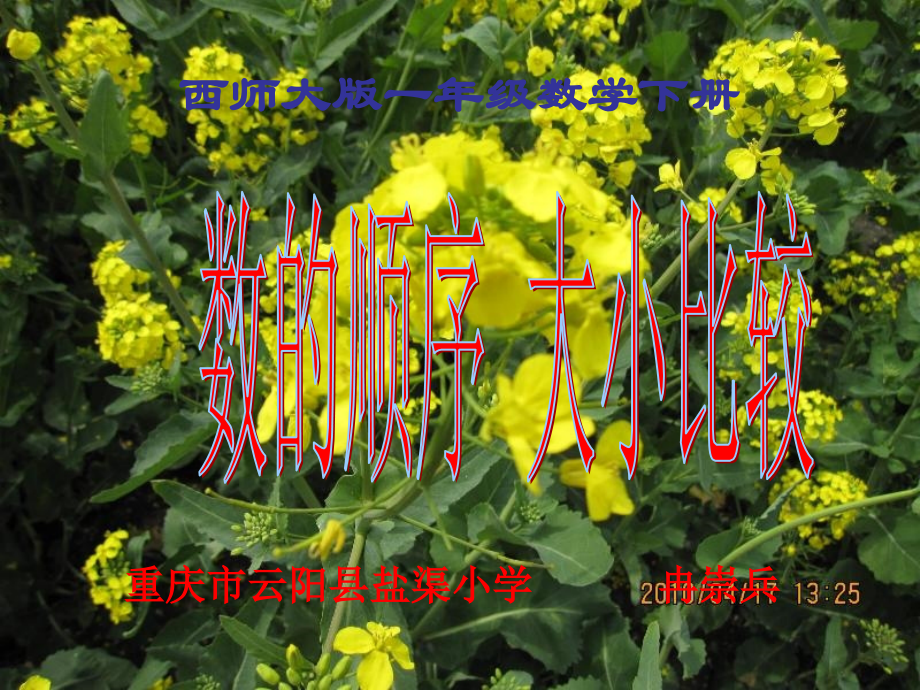 西师大片小学数学一下__数的顺序_大小比较.ppt_第1页
