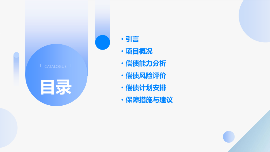 山东项目偿债能力分析报告.pptx_第2页