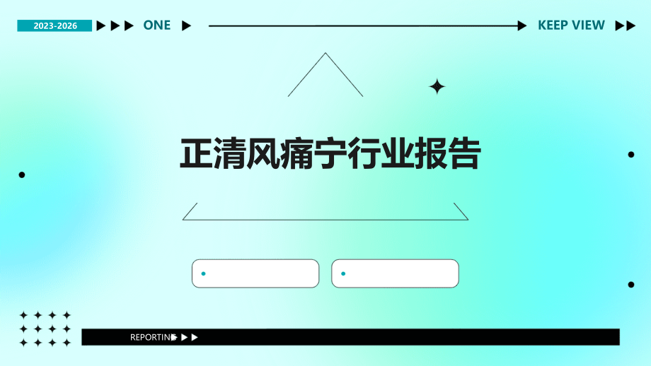 正清风痛宁行业报告.pptx_第1页