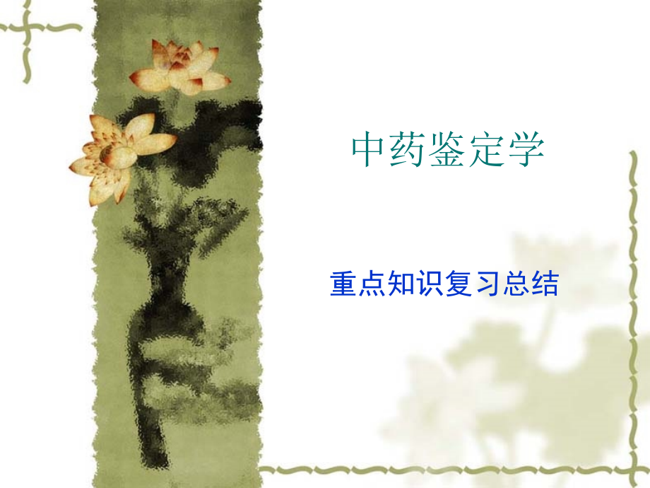中药鉴定学重点知识复习.ppt_第1页