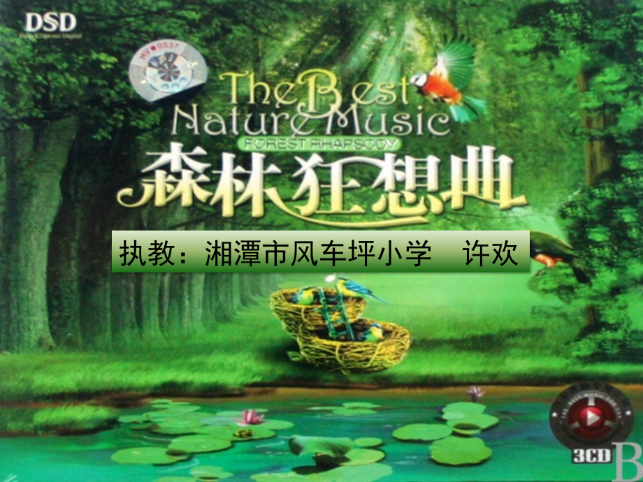 森林狂想曲2.ppt_第1页