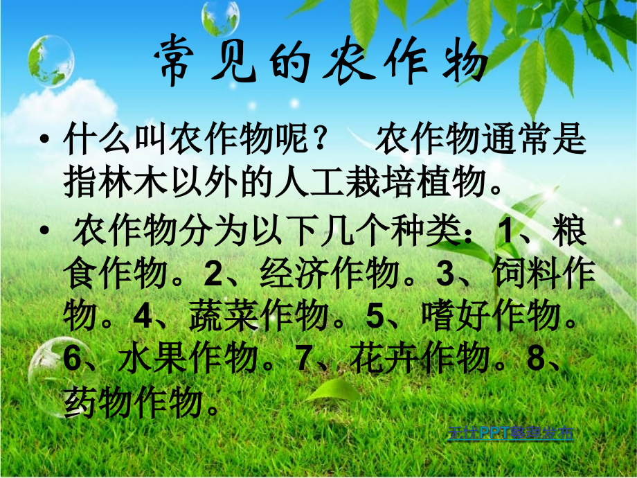 常见的农作物1.ppt_第1页