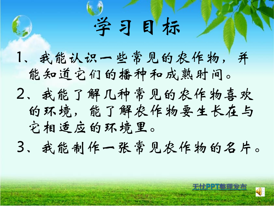 常见的农作物1.ppt_第2页
