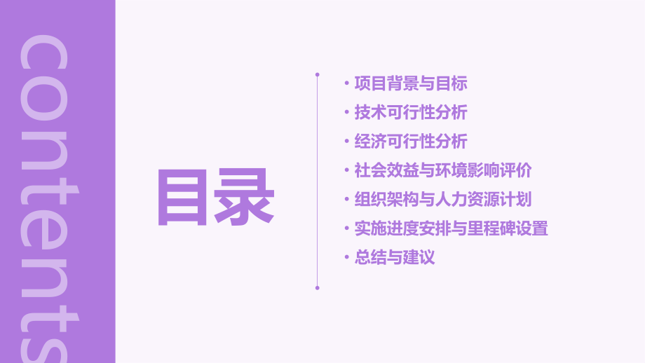 项目立项可行性方案.pptx_第2页