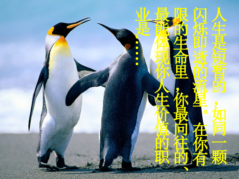 敬业与乐业的课件.ppt_第1页
