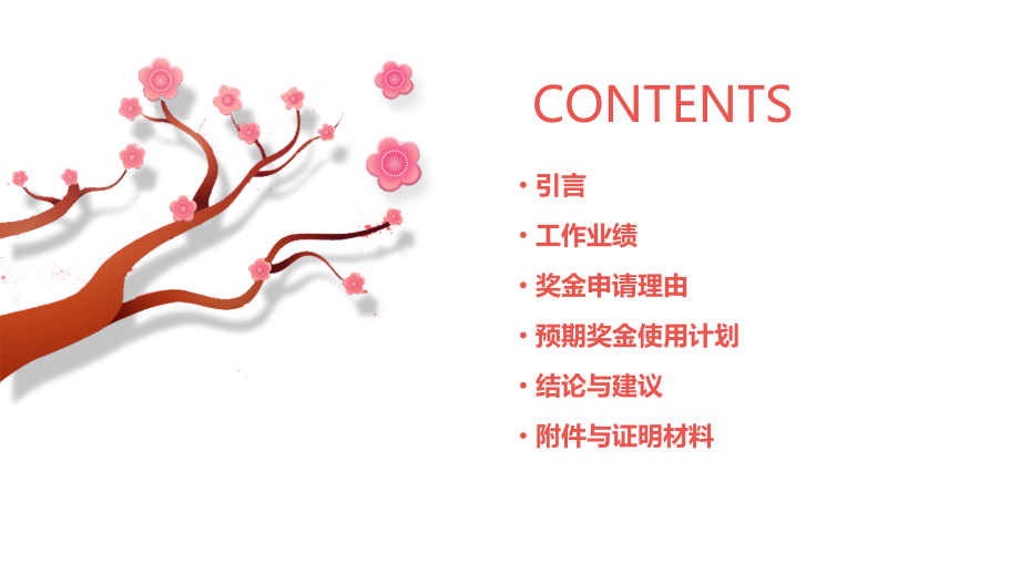 申请奖金报告.pptx_第2页