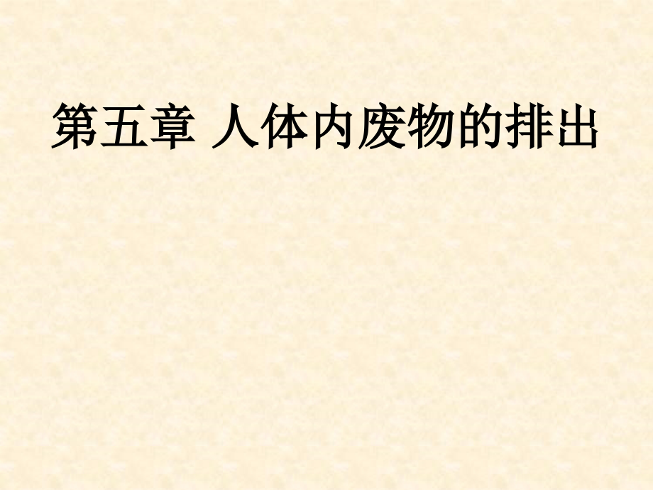 人教版七年级生物下册《人体内废物的排出》课件.ppt_第1页