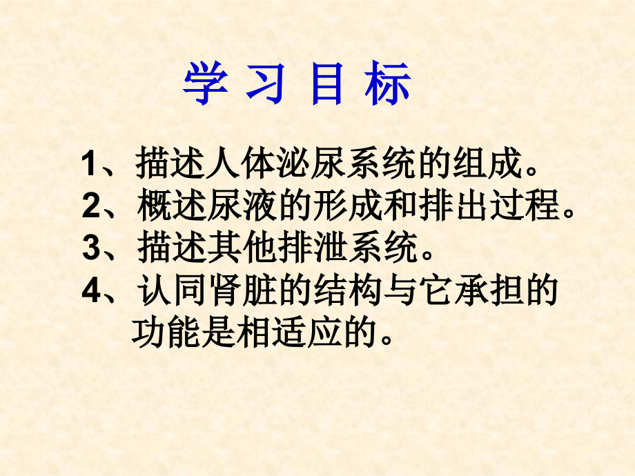 人教版七年级生物下册《人体内废物的排出》课件.ppt_第2页