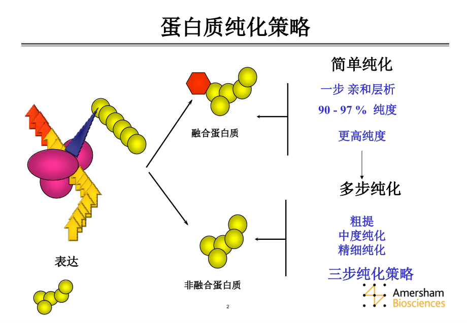 层析分离纯化技术-课件.ppt_第2页