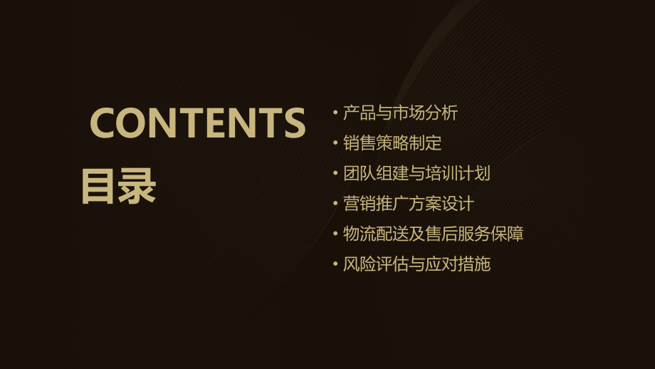 公司销售可行性方案.pptx_第2页