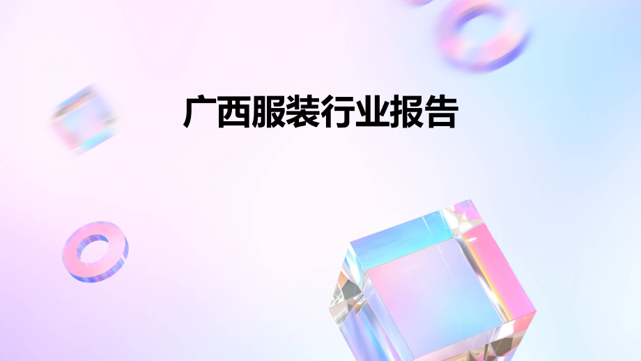 广西服装行业报告.pptx_第1页