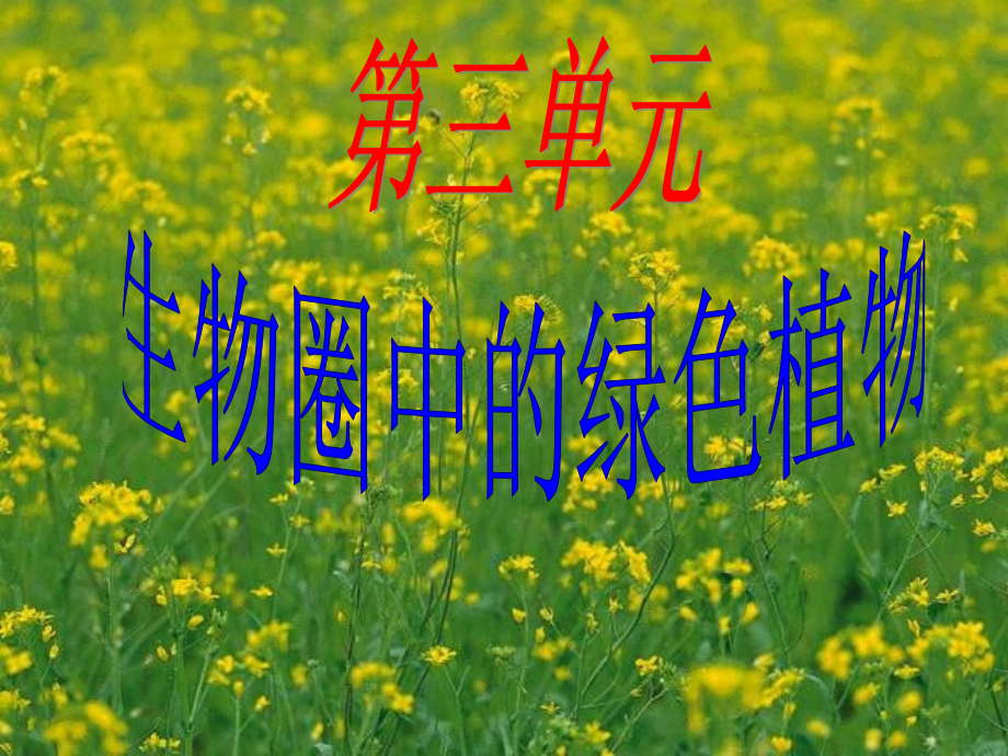 藻类苔藓与蕨类植物.ppt_第2页
