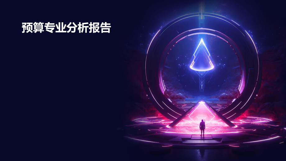 预算专业分析报告.pptx_第1页