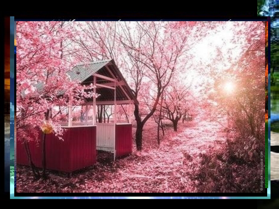 四年级上册搭石第二课时.ppt_第2页