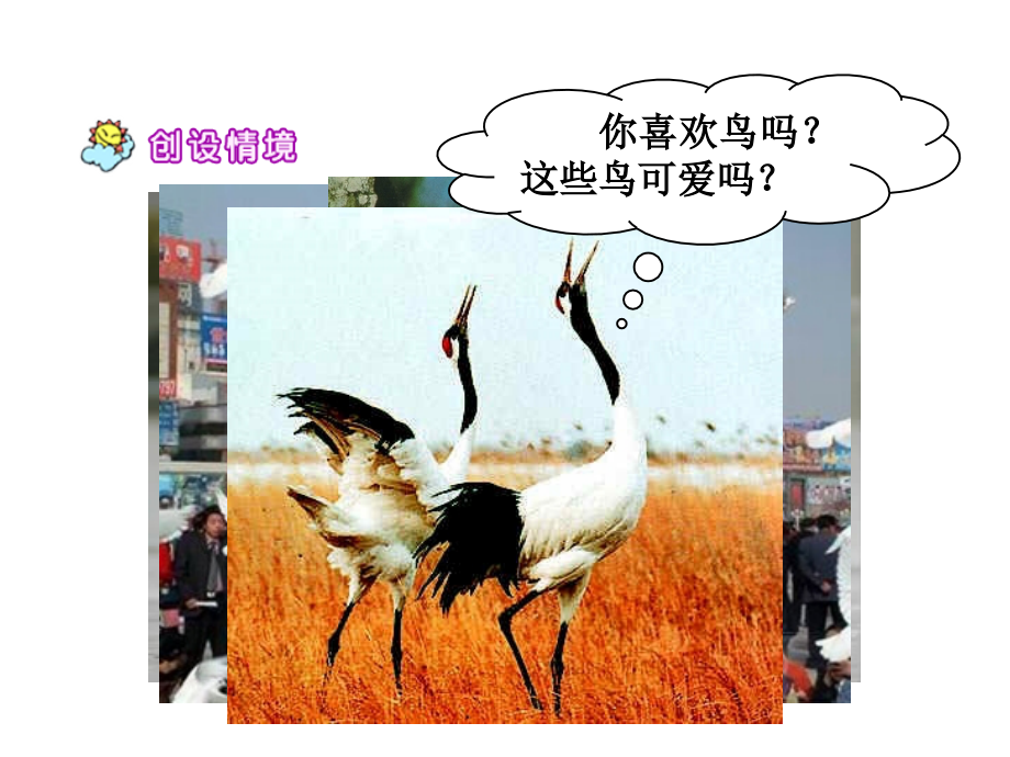 王伟婕教学PPT.ppt_第2页