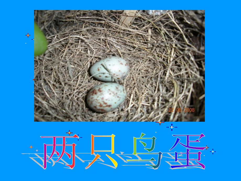 两只鸟蛋[1]公开课.ppt_第1页