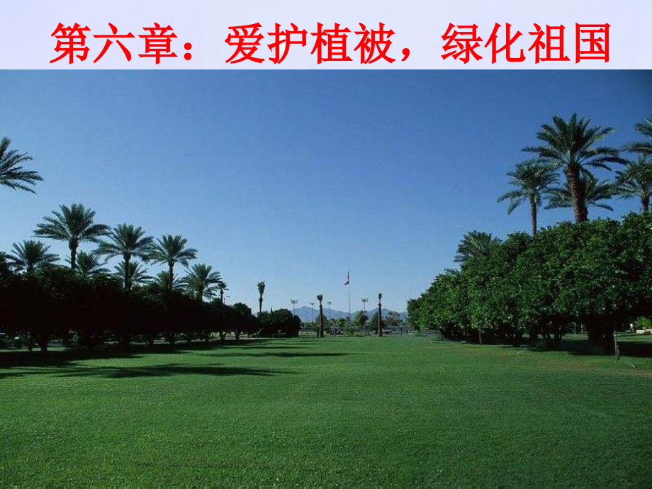 第三单元第六章　爱护植被绿化祖国1.ppt_第1页