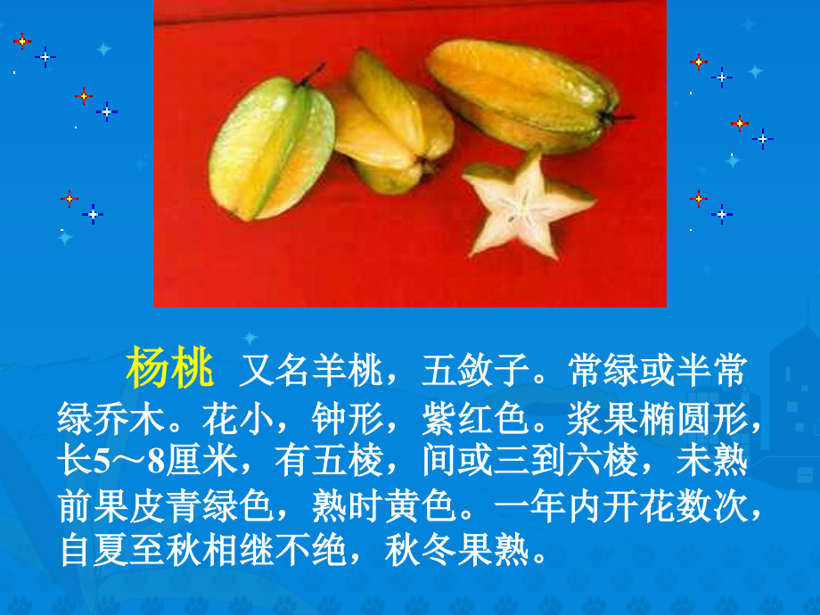 《画杨桃》课堂演示PPT课件.ppt_第2页