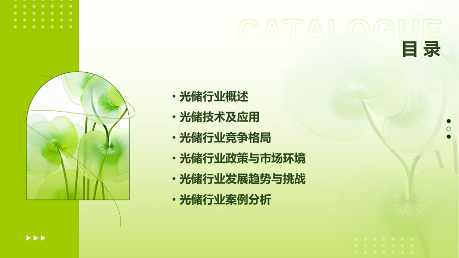 光储行业报告.pptx_第2页