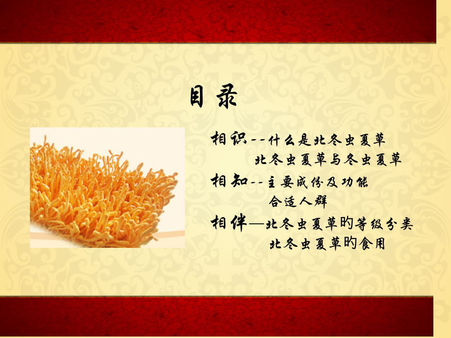 北冬虫夏草专题知识讲座.ppt_第2页