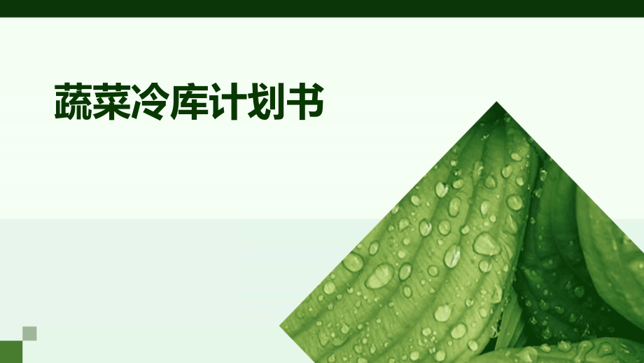 蔬菜冷库计划书.pptx_第1页