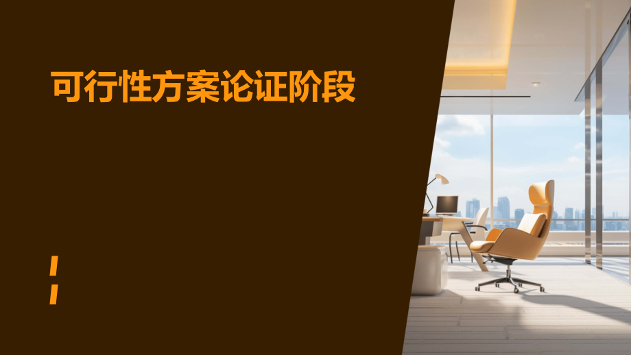 可行性方案该论证阶段.pptx_第1页