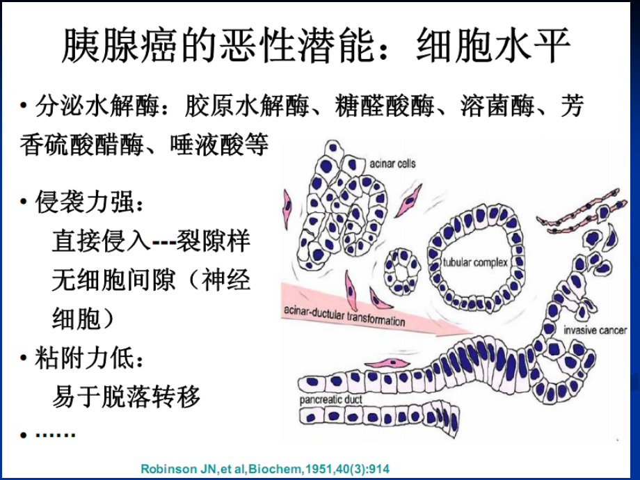 胰腺癌的转化性研究.ppt_第2页