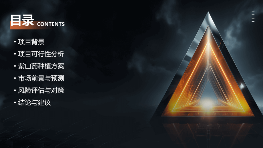 紫山药可行性报告.pptx_第2页