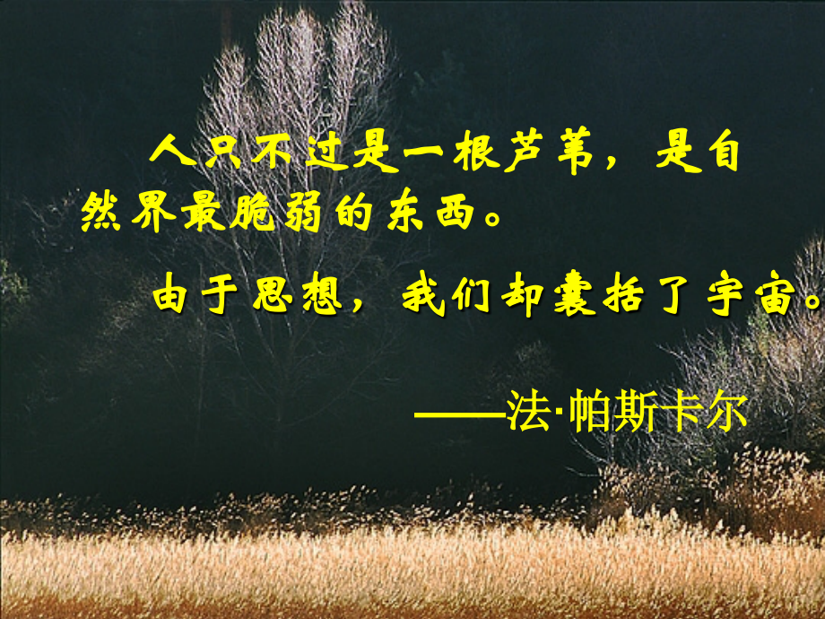 人是能够思考的芦苇.ppt_第2页