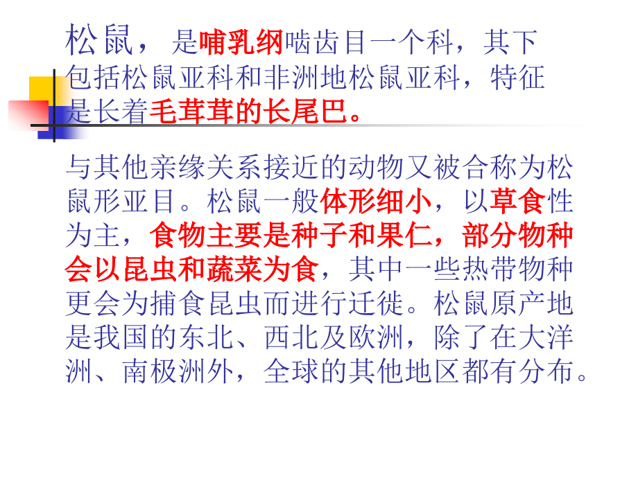 五年级上册《松鼠》PPT课件.ppt_第2页