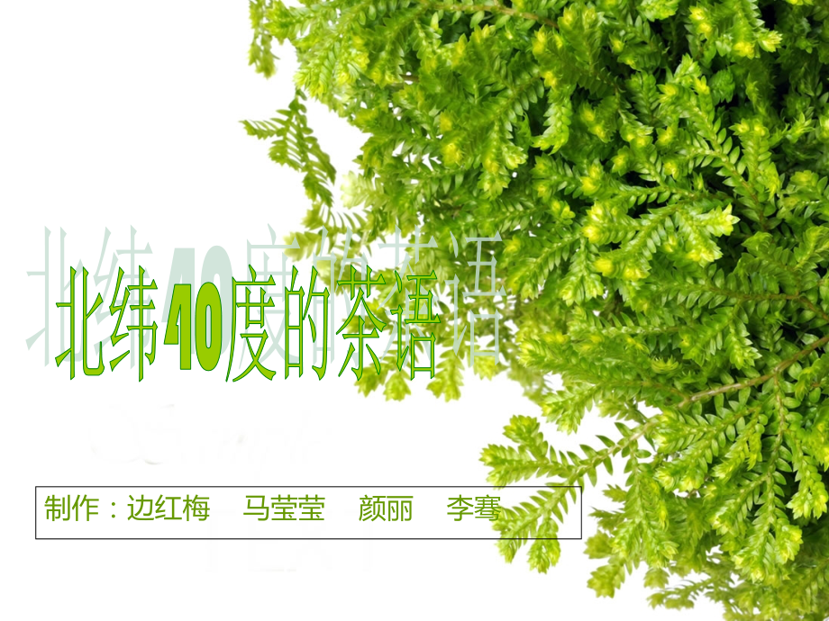 绿色含羞草11.ppt_第1页