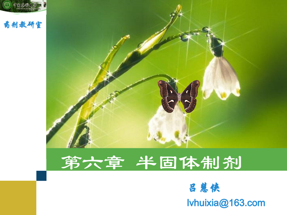 第六章 半固体制剂.ppt_第1页