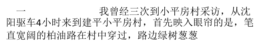 辽西新农村的一面旗帜.pptx_第2页