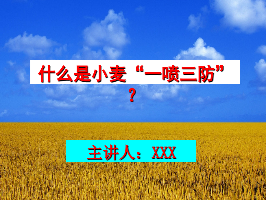 什么是小麦一喷三防.ppt_第1页