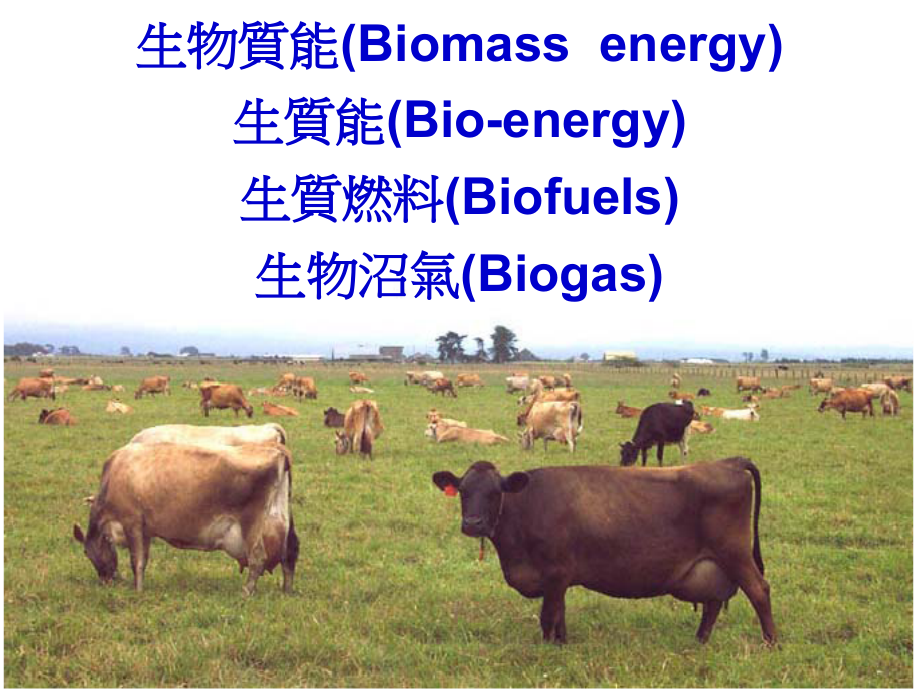 BioMass_Energy_I.ppt_第1页