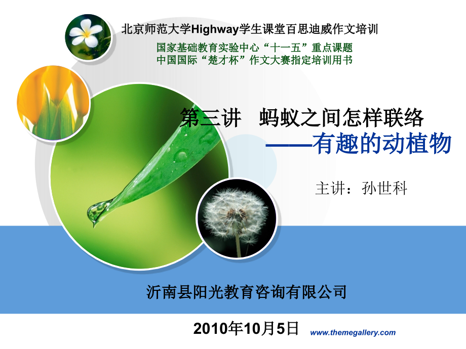 第三讲 蚂蚁之间怎样联络_动植物观察作文.ppt_第1页
