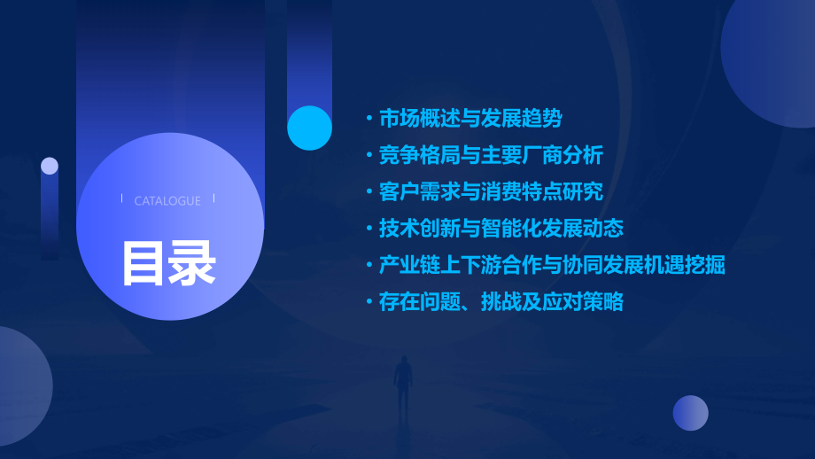 新能源船舶市场分析报告.pptx_第2页