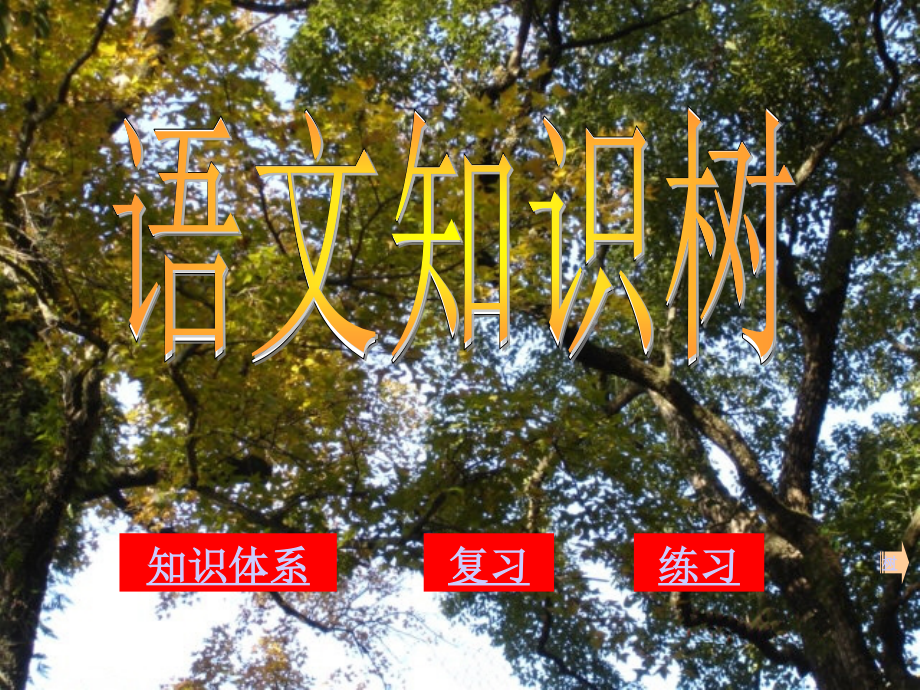 初中语文知识树 (2).ppt_第1页