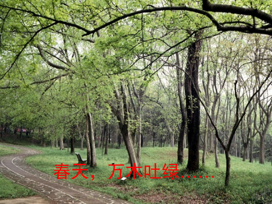 《春晓》古诗.ppt_第1页