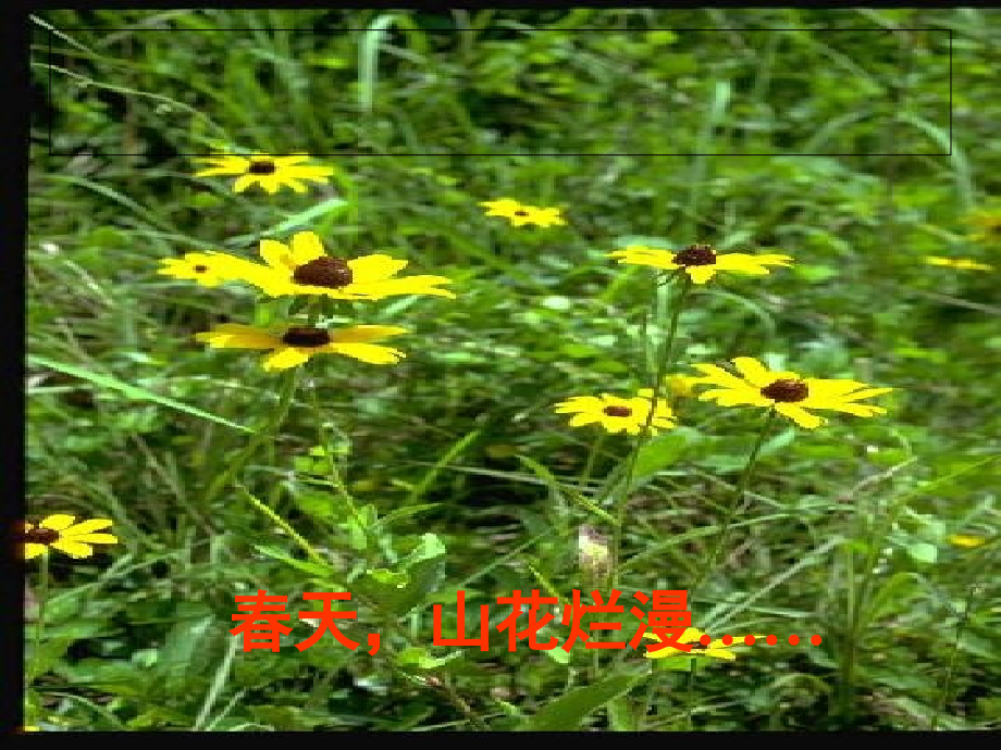《春晓》古诗.ppt_第2页