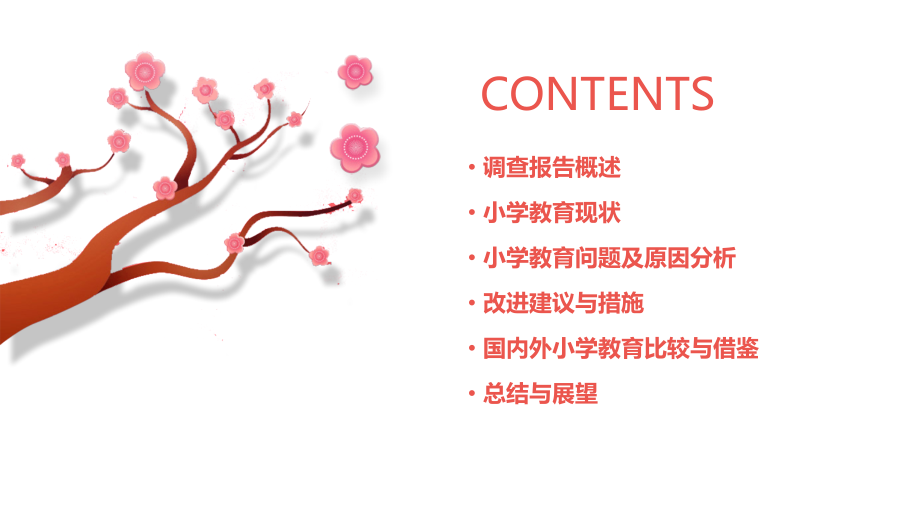 小学教育调查报告.pptx_第2页