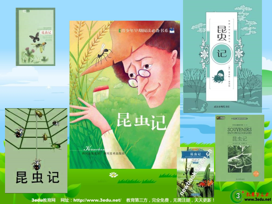 七年级语文昆虫记.ppt_第2页