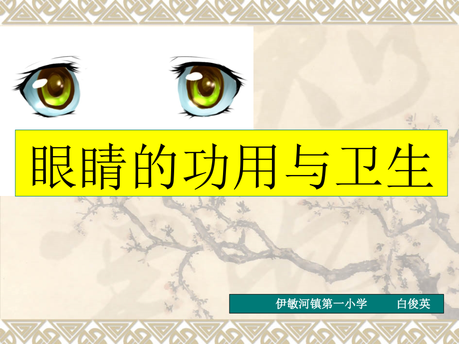 眼睛的功用与卫生.ppt_第1页