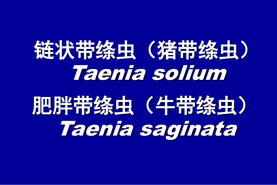 链状带绦虫猪带绦虫Taeniasolium.pptx_第1页