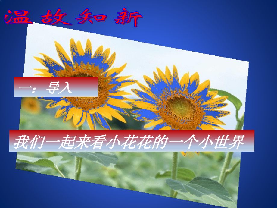因式分解——公因式为单项式的提公因式法.pptx_第2页