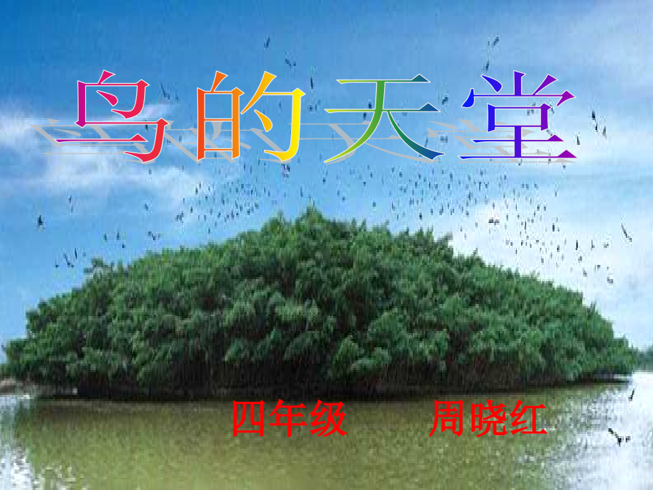 《鸟的天堂》PPT课件 (2).ppt_第1页