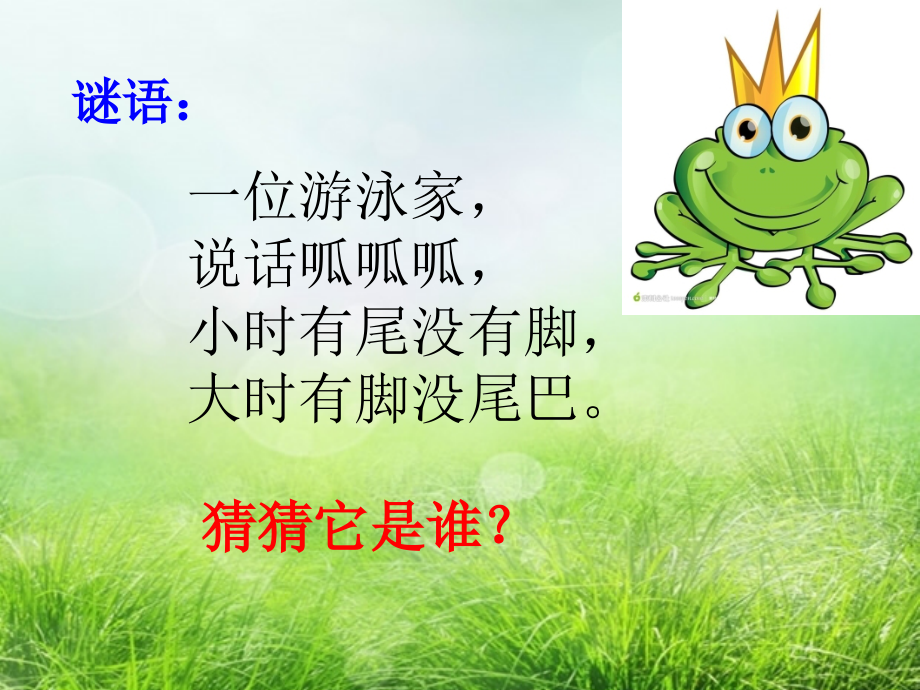 青蛙写诗[已改].ppt_第1页