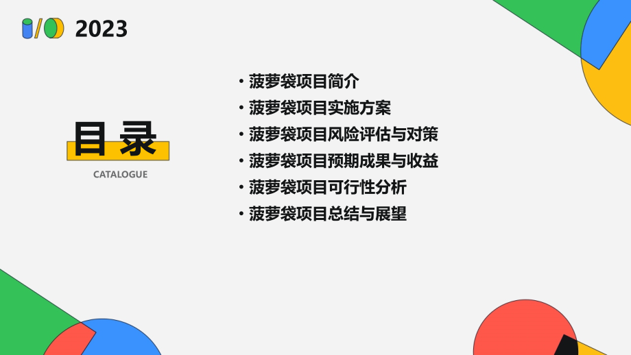菠萝袋计划书.pptx_第2页