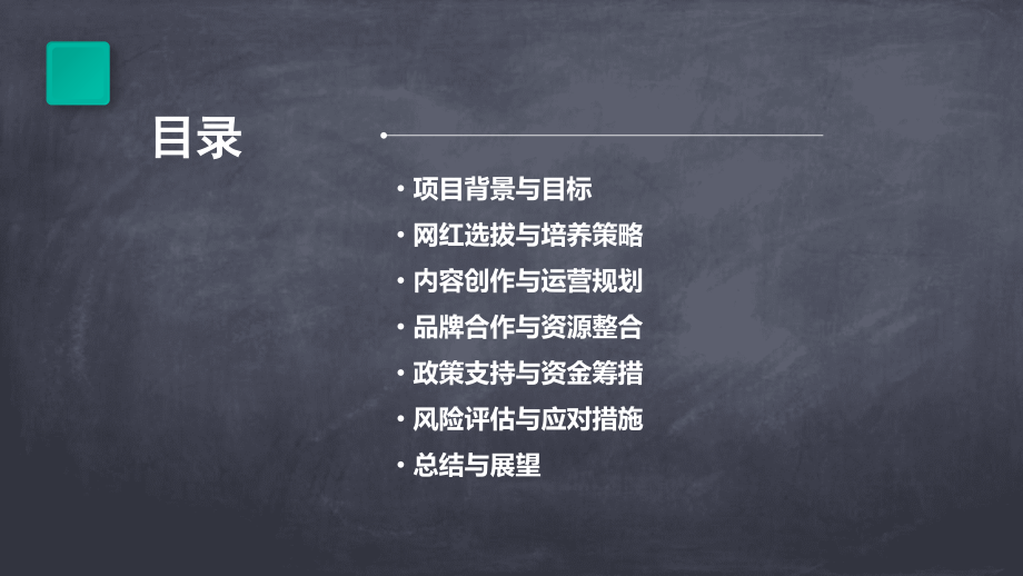 农村网红培养计划书.pptx_第2页